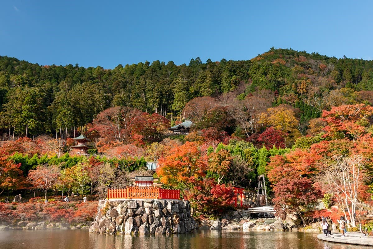 整座山壁擺滿不倒翁!大阪隱藏版賞楓必遊景點,必抽達摩籤試手氣 整座山壁擺滿不倒翁!大阪隱藏版賞楓必遊景點,必抽達摩籤試手氣