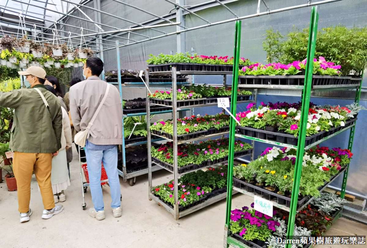 盆栽最低僅7元!桃園鄉民激推「平價花市」地點曝,多肉植物買4送1好划算 盆栽最低僅7元!桃園鄉民激推「平價花市」地點曝,多肉植物買4送1好划算