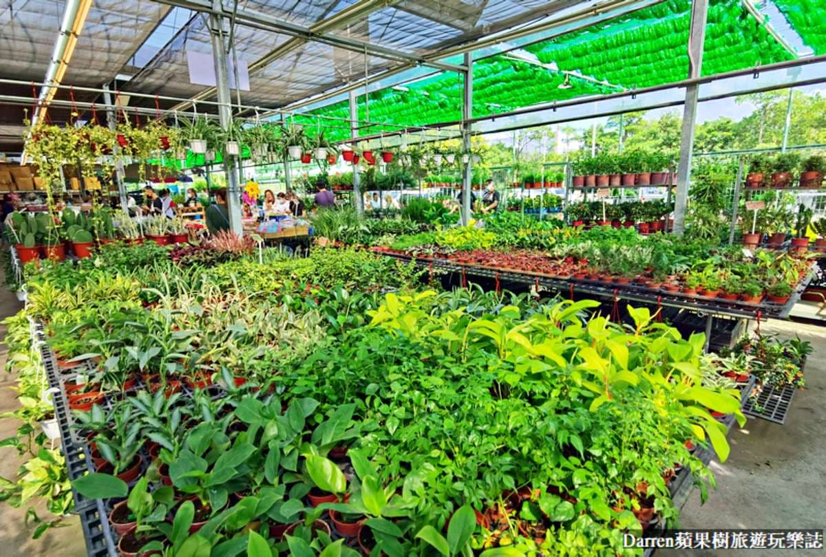 盆栽最低僅7元!桃園鄉民激推「平價花市」地點曝,多肉植物買4送1好划算 盆栽最低僅7元!桃園鄉民激推「平價花市」地點曝,多肉植物買4送1好划算