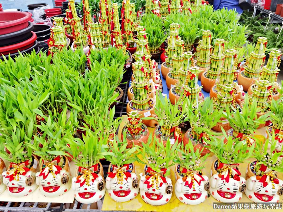 盆栽最低僅7元!桃園鄉民激推「平價花市」地點曝,多肉植物買4送1好划算 盆栽最低僅7元!桃園鄉民激推「平價花市」地點曝,多肉植物買4送1好划算