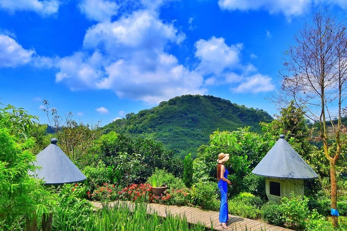 苗栗山林的桃花源!住老穀倉花草仙境拍到飽、還有全透明網美泡泡露營 苗栗山林的桃花源!住老穀倉花草仙境拍到飽、還有全透明網美泡泡露營