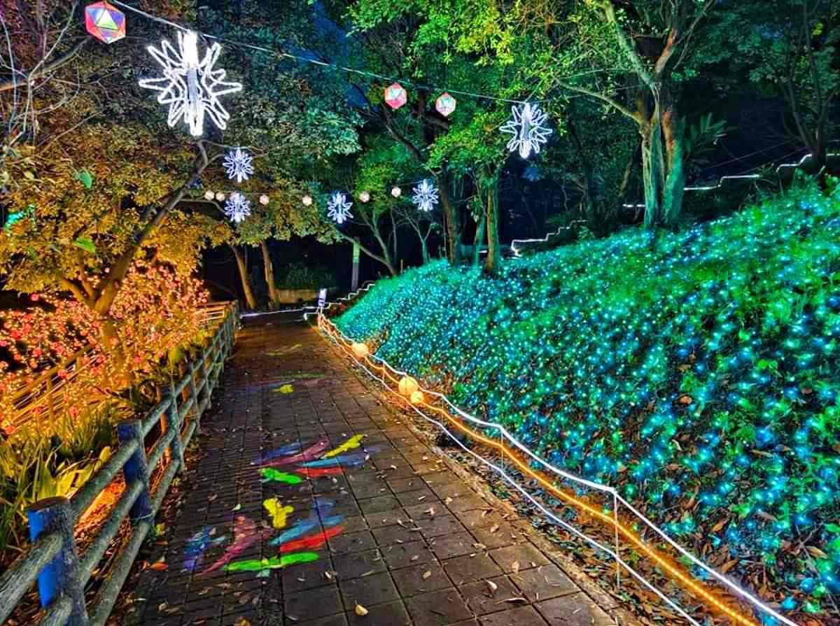 「桃園最美夜景步道」搶先點燈!燈球廊道、精靈樹免費拍爆,順逛小農市集 「桃園最美夜景步道」搶先點燈!燈球廊道、精靈樹免費拍爆,順逛小農市集