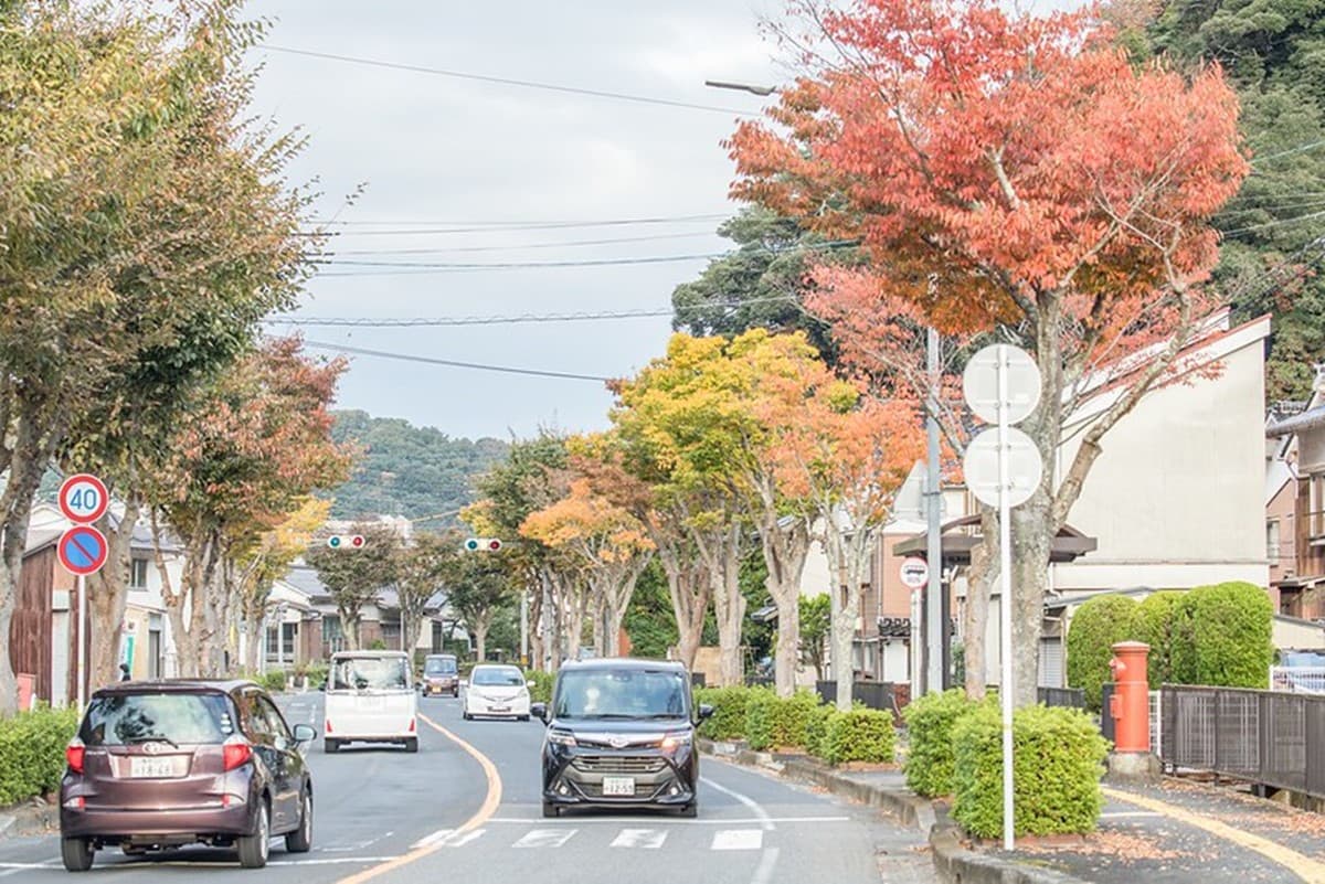 6歲以下免費入館!最老圓形校舍變「模型聖地」,2千款任拍、打卡超高價哥吉拉 6歲以下免費入館!最老圓形校舍變「模型聖地」,2千款任拍、打卡超高價哥吉拉