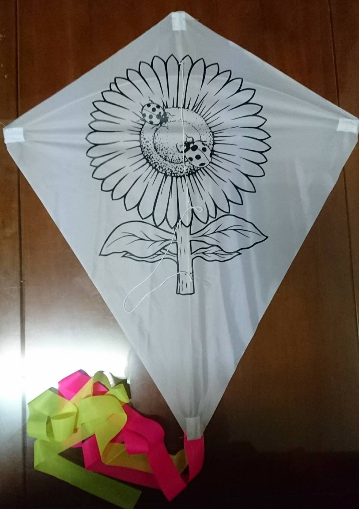 錯過等明年!「2024宜蘭風箏嘉年華」只有2天,秒殺級「風箏彩繪」搶報名 錯過等明年!「2024宜蘭風箏嘉年華」只有2天,秒殺級「風箏彩繪」搶報名