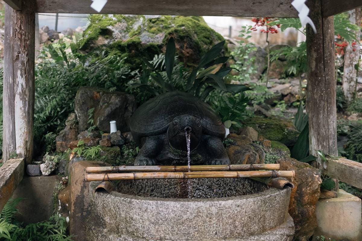 700風鈴美翻!嵐山「隱藏版神社」推薦必逛,必買「超萌白虎神籤」好運滿滿 700風鈴美翻!嵐山「隱藏版神社」推薦必逛,必買「超萌白虎神籤」好運滿滿