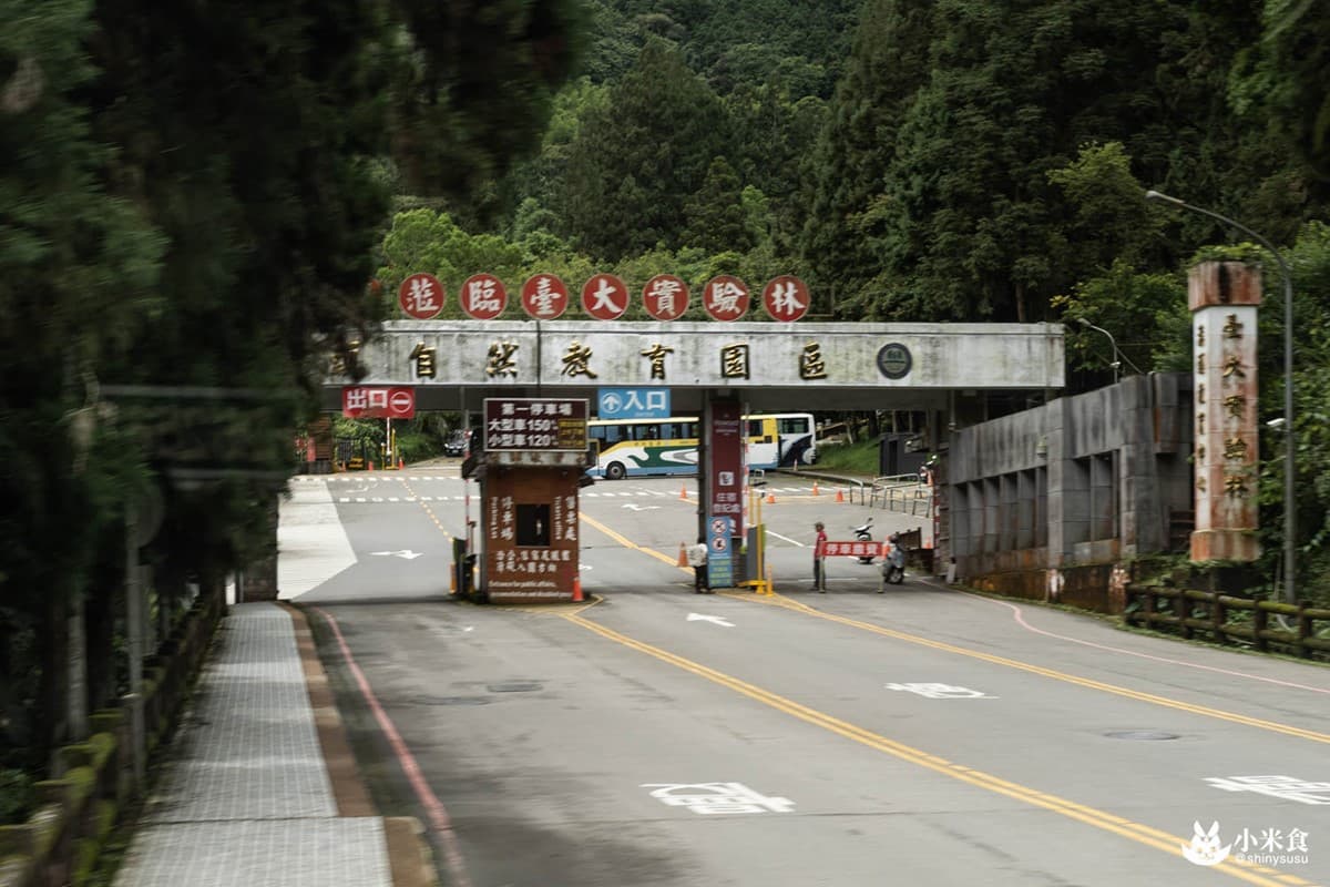 晚餐桂筍東坡肉超誘人!睡溪頭小木屋吸飽芬多精,順遊竹林祕境、妖怪村 晚餐桂筍東坡肉超誘人!睡溪頭小木屋吸飽芬多精,順遊竹林祕境、妖怪村