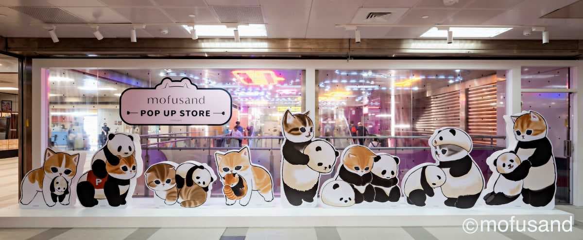 鯊魚、炸蝦貓可愛瘋!「貓福珊迪」高雄快閃店搶拍8打卡點,百款周邊超欠買 鯊魚、炸蝦貓可愛瘋!「貓福珊迪」高雄快閃店搶拍8打卡點,百款周邊超欠買