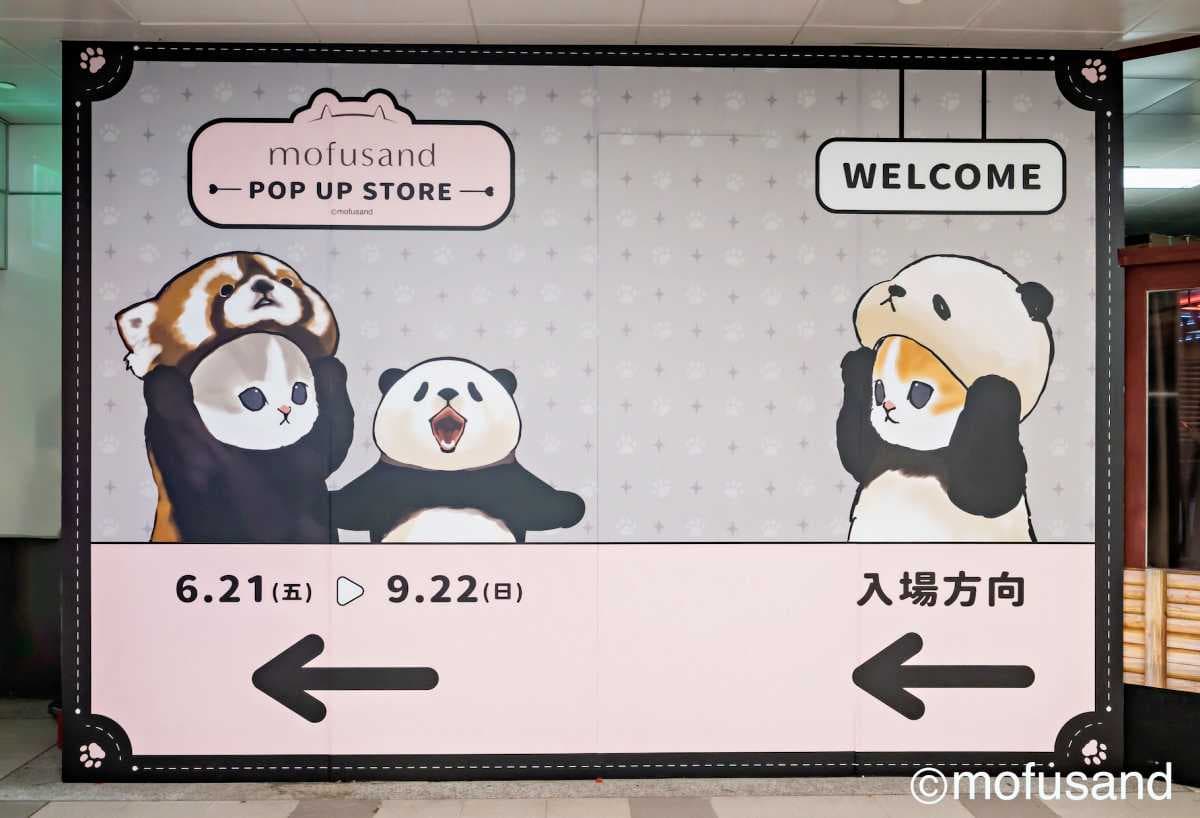 鯊魚、炸蝦貓可愛瘋!「貓福珊迪」高雄快閃店搶拍8打卡點,百款周邊超欠買 鯊魚、炸蝦貓可愛瘋!「貓福珊迪」高雄快閃店搶拍8打卡點,百款周邊超欠買
