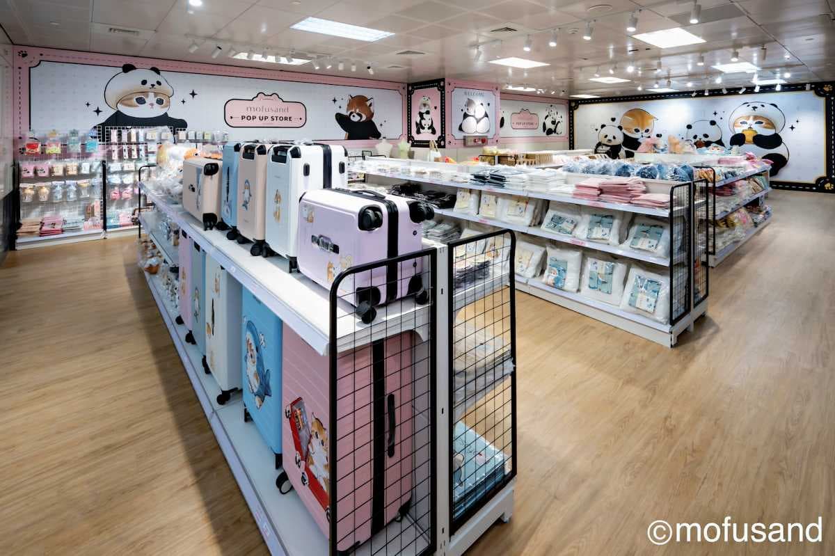 鯊魚、炸蝦貓可愛瘋!「貓福珊迪」高雄快閃店搶拍8打卡點,百款周邊超欠買 鯊魚、炸蝦貓可愛瘋!「貓福珊迪」高雄快閃店搶拍8打卡點,百款周邊超欠買