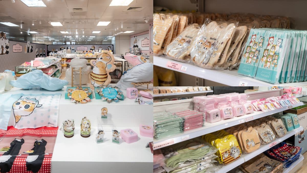 鯊魚、炸蝦貓可愛瘋!「貓福珊迪」高雄快閃店搶拍8打卡點,百款周邊超欠買 鯊魚、炸蝦貓可愛瘋!「貓福珊迪」高雄快閃店搶拍8打卡點,百款周邊超欠買