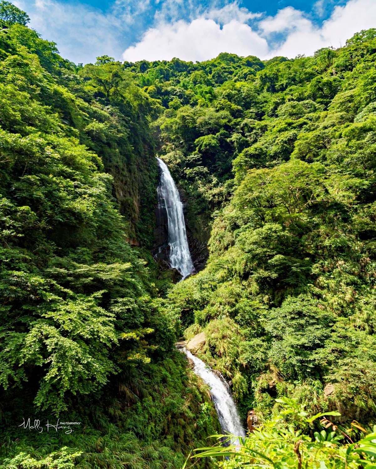 嘉義瀑布祕境「這3天」免費入園!搶拍絕美「飄雨谷」,最佳消暑首選快衝 嘉義瀑布祕境「這3天」免費入園!搶拍絕美「飄雨谷」,最佳消暑首選快衝