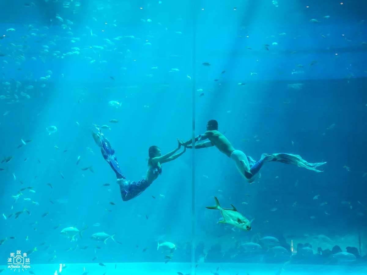 超夢幻「越南版迪士尼」!免簽暢玩「粉紅城堡」,海龜造型水族館必看人魚秀 超夢幻「越南版迪士尼」!免簽暢玩「粉紅城堡」,海龜造型水族館必看人魚秀