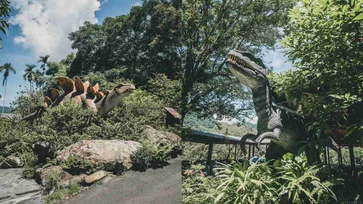 誤闖侏羅紀公園?全台唯一「恐龍森林步道」藏在這,百年巨藤、榕樹根太壯觀 誤闖侏羅紀公園?全台唯一「恐龍森林步道」藏在這,百年巨藤、榕樹根太壯觀