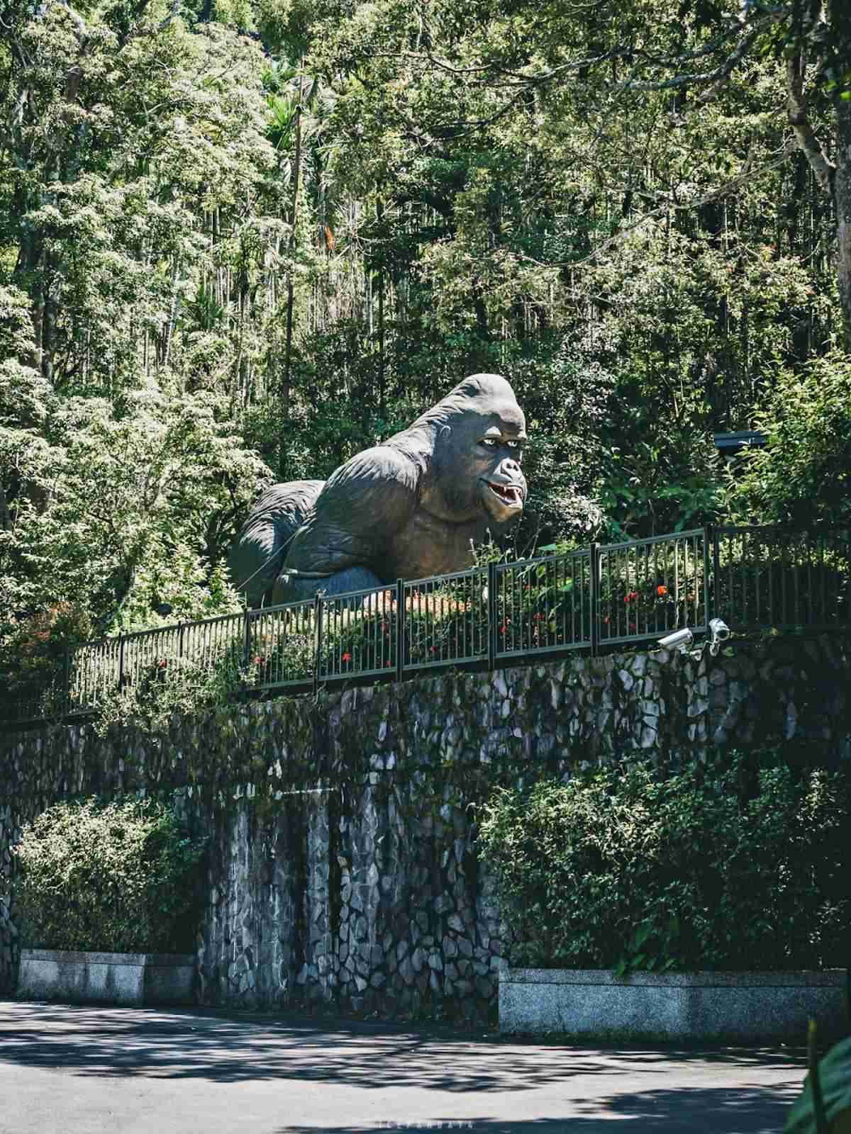 誤闖侏羅紀公園?全台唯一「恐龍森林步道」藏在這,百年巨藤、榕樹根太壯觀 誤闖侏羅紀公園?全台唯一「恐龍森林步道」藏在這,百年巨藤、榕樹根太壯觀