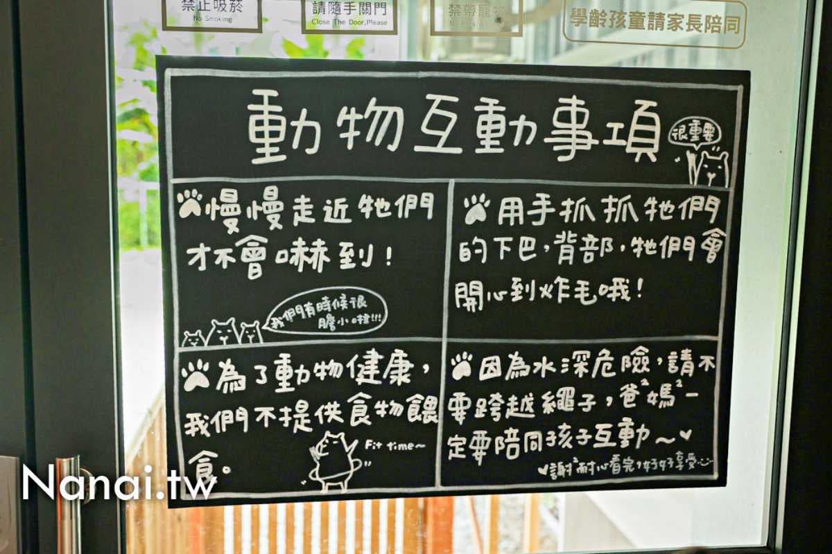 南投也有「水豚咖啡廳」!與4隻可愛水豚互動零距離,週末必排隊人氣爆棚 南投也有「水豚咖啡廳」!與4隻可愛水豚互動零距離,週末必排隊人氣爆棚