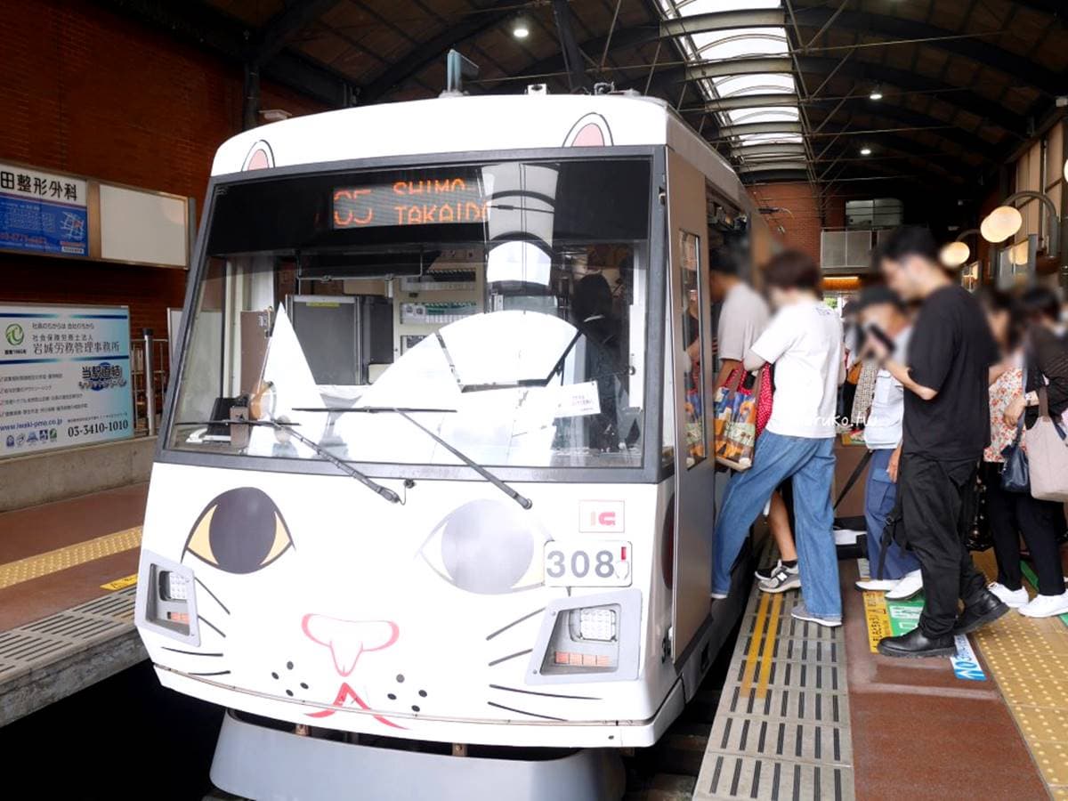 搭到就會幸福!搭限定「招財貓電車」去找招財貓,必拍6大亮點好療癒 搭到就會幸福!搭限定「招財貓電車」去找招財貓,必拍6大亮點好療癒