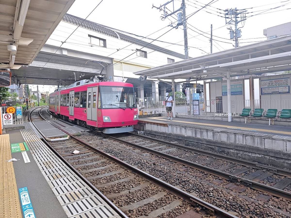 搭到就會幸福!搭限定「招財貓電車」去找招財貓,必拍6大亮點好療癒 搭到就會幸福!搭限定「招財貓電車」去找招財貓,必拍6大亮點好療癒