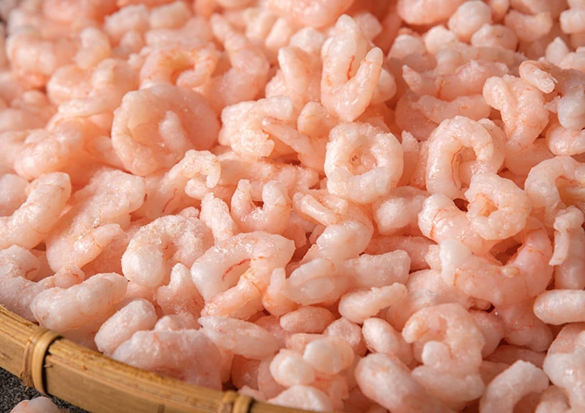 身分證拿出來!對中「美、國、奧、勒、岡」送手卷,還有鮪魚味噌湯喝到飽 身分證拿出來!對中「美、國、奧、勒、岡」送手卷,還有鮪魚味噌湯喝到飽