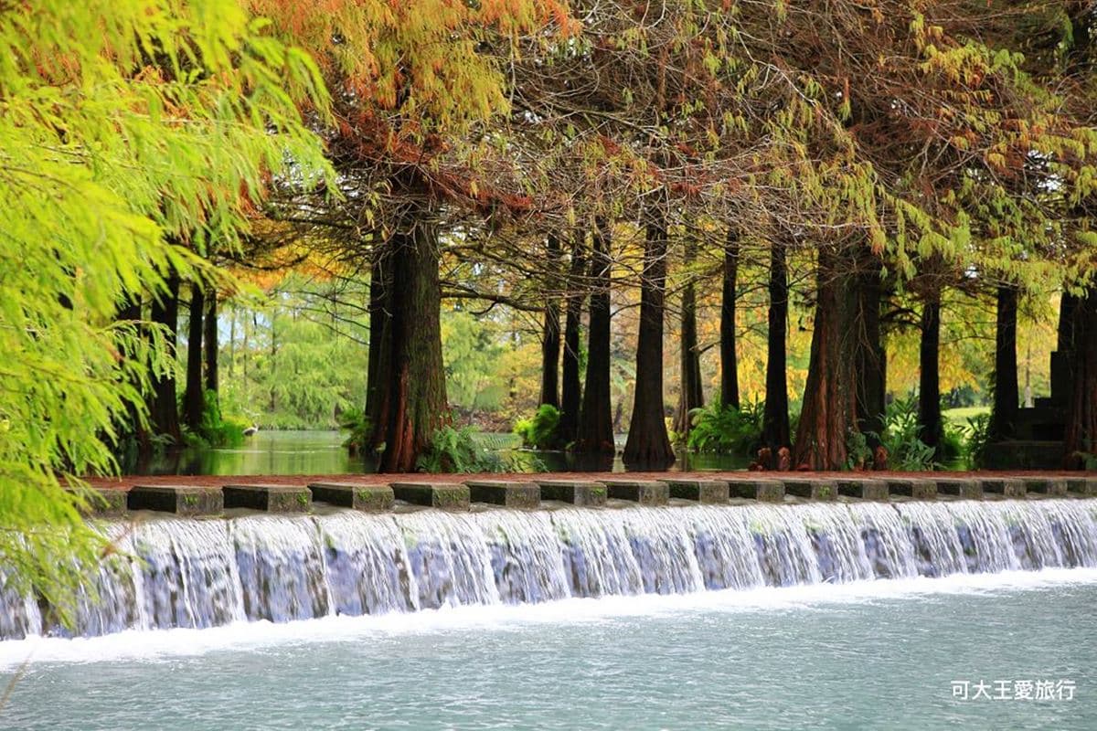 「雲山水夢幻湖」遊園攻略!落羽松祕境、跳石瀑布必打卡,門票、住宿一次看 「雲山水夢幻湖」遊園攻略!落羽松祕境、跳石瀑布必打卡,門票、住宿一次看