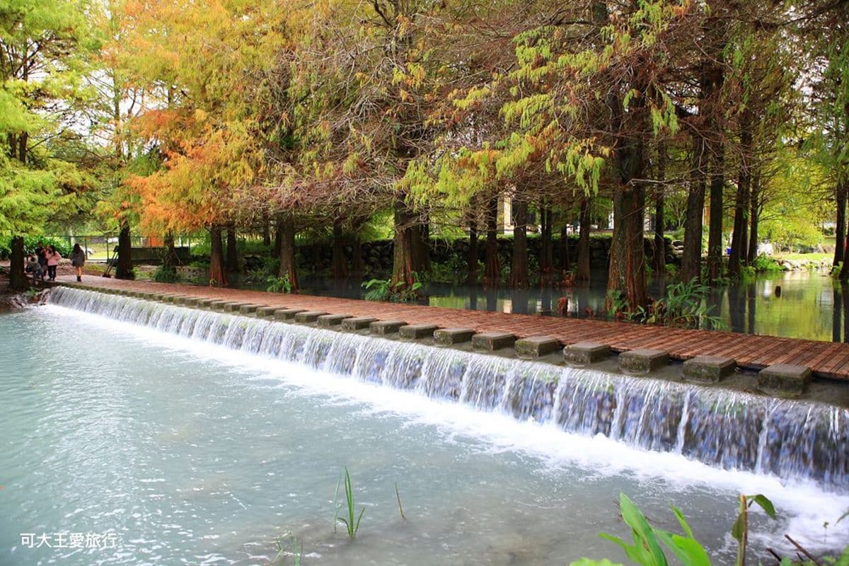 「雲山水夢幻湖」遊園攻略!落羽松祕境、跳石瀑布必打卡,門票、住宿一次看 「雲山水夢幻湖」遊園攻略!落羽松祕境、跳石瀑布必打卡,門票、住宿一次看