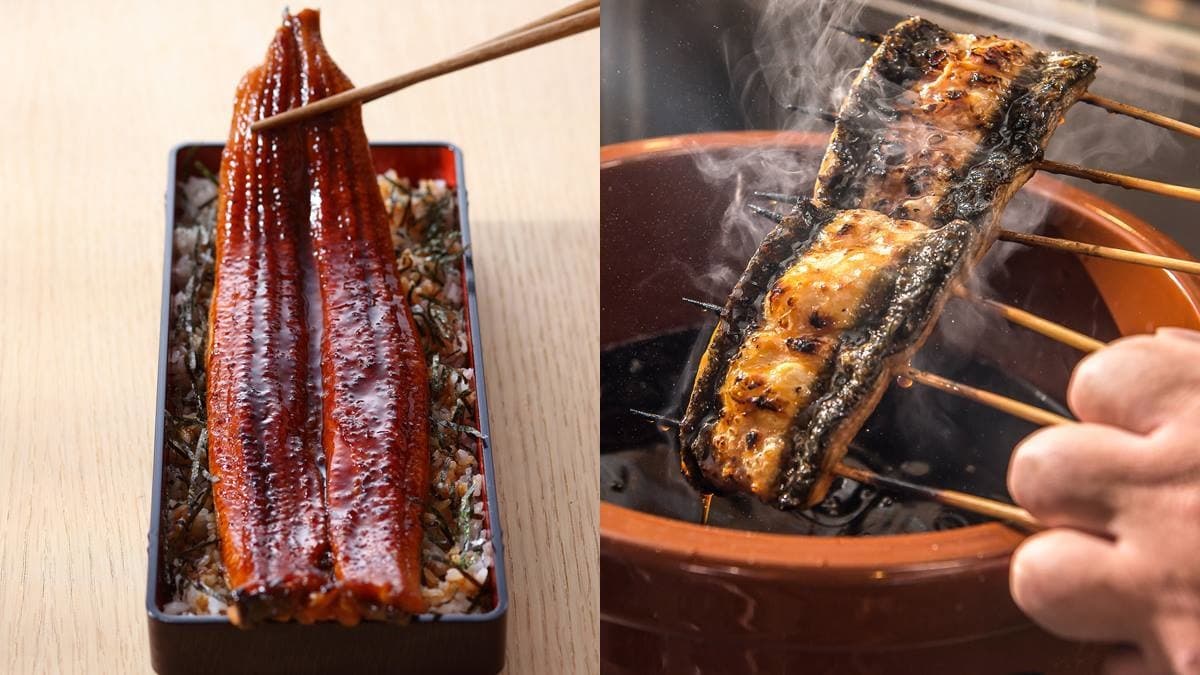 台中夯爆「鰻魚飯店」進軍北部!288元爽嗑鰻魚套餐,加碼搶連3天咖哩買一送一 台中夯爆「鰻魚飯店」進軍北部!288元爽嗑鰻魚套餐,加碼搶連3天咖哩買一送一