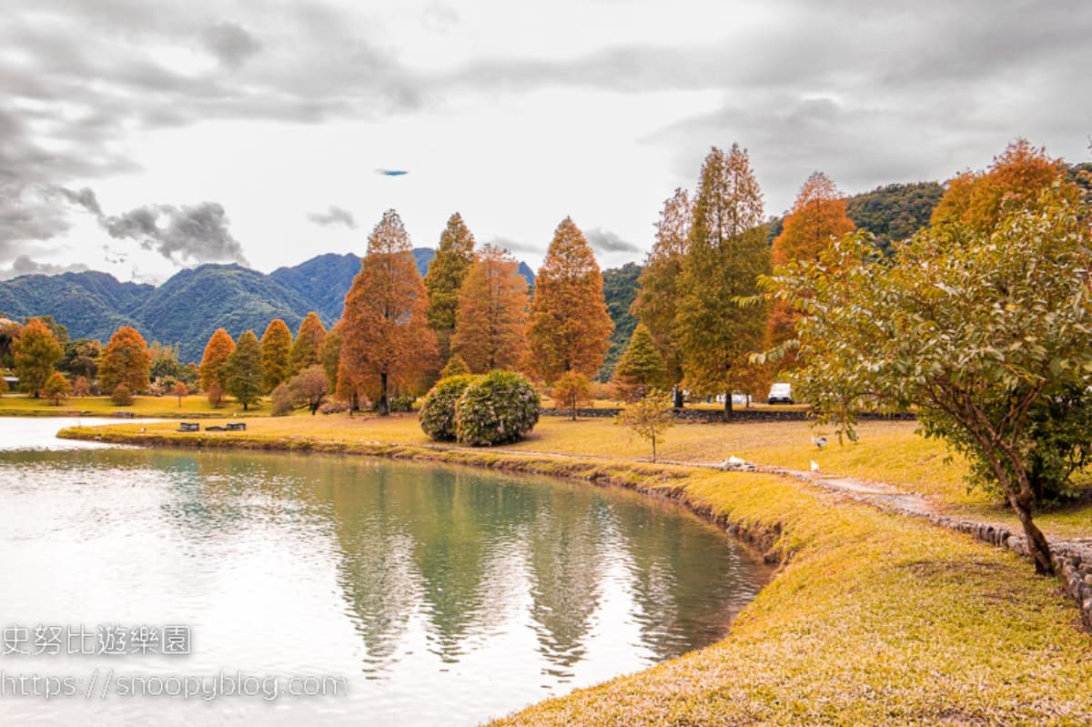 落羽松秘境解鎖!秋冬限定童話美景,全台18處落羽松景點、推薦觀賞時間 蜊埤湖|宜蘭落羽松景點