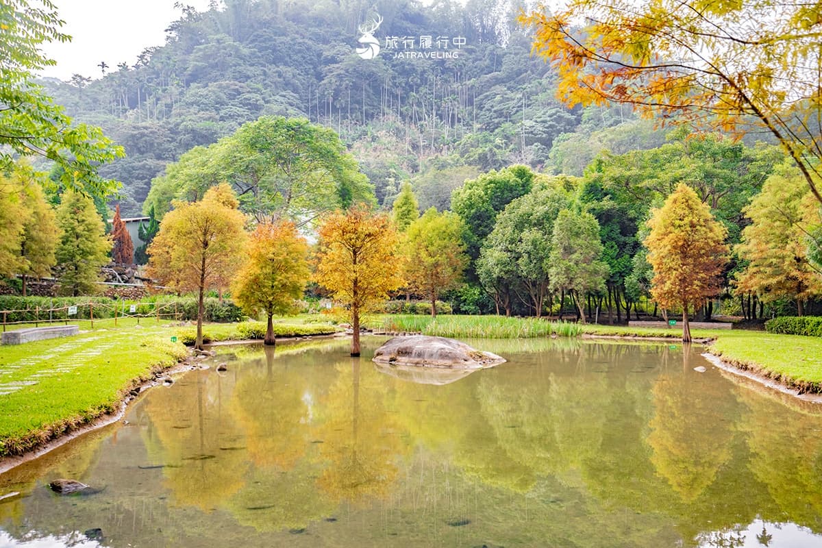 落羽松秘境解鎖!秋冬限定童話美景,全台18處落羽松景點、推薦觀賞時間 太平苗圃落羽松|台中落羽松景點