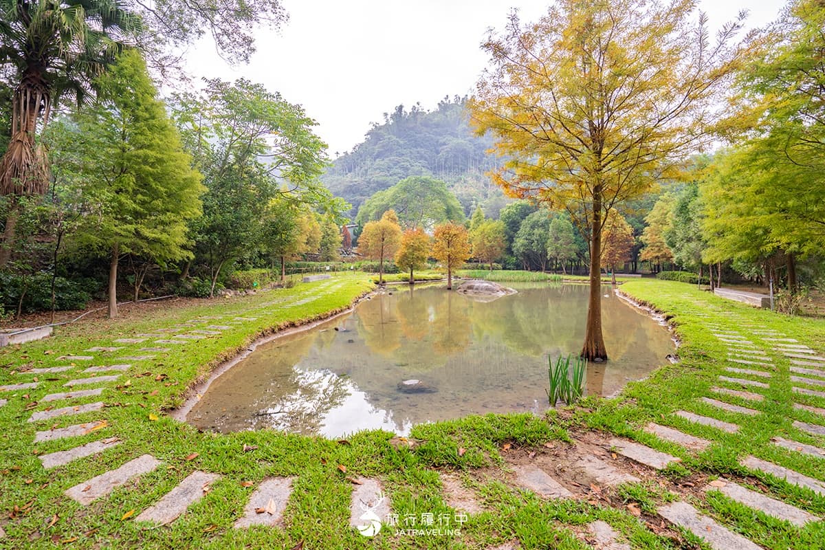 落羽松秘境解鎖!秋冬限定童話美景,全台18處落羽松景點、推薦觀賞時間 太平苗圃落羽松|台中落羽松景點