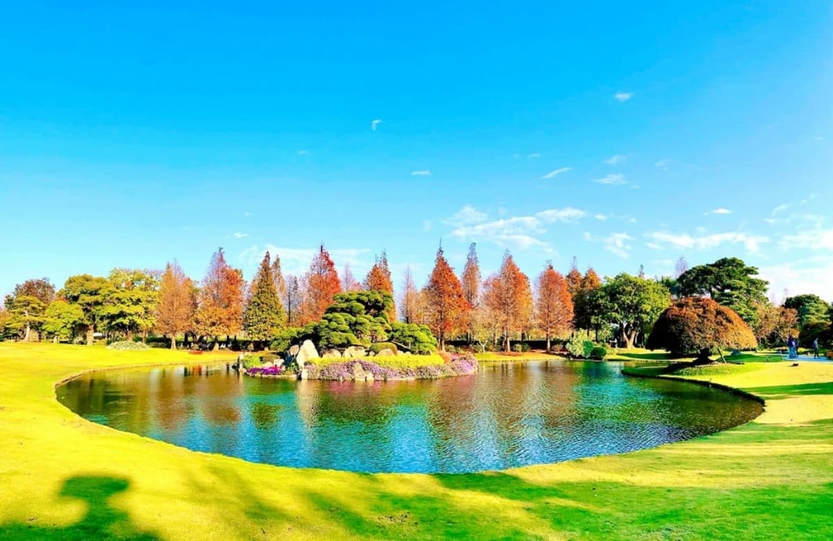 落羽松秘境解鎖!秋冬限定童話美景,全台18處落羽松景點、推薦觀賞時間 成美文化園|彰化落羽松景點