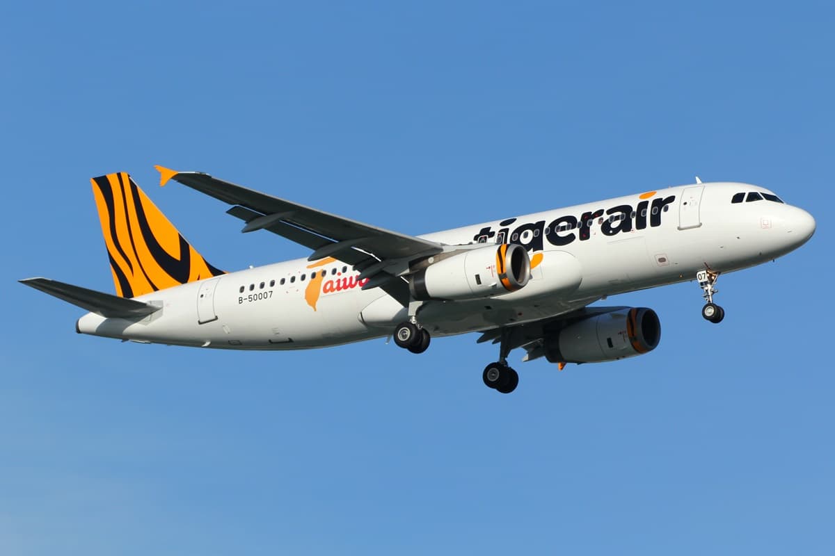 日本機票1599元起!虎航福袋機票「這時間」開搶,加碼日本賞櫻機票開賣 日本機票1599元起!虎航福袋機票「這時間」開搶,加碼日本賞櫻機票開賣