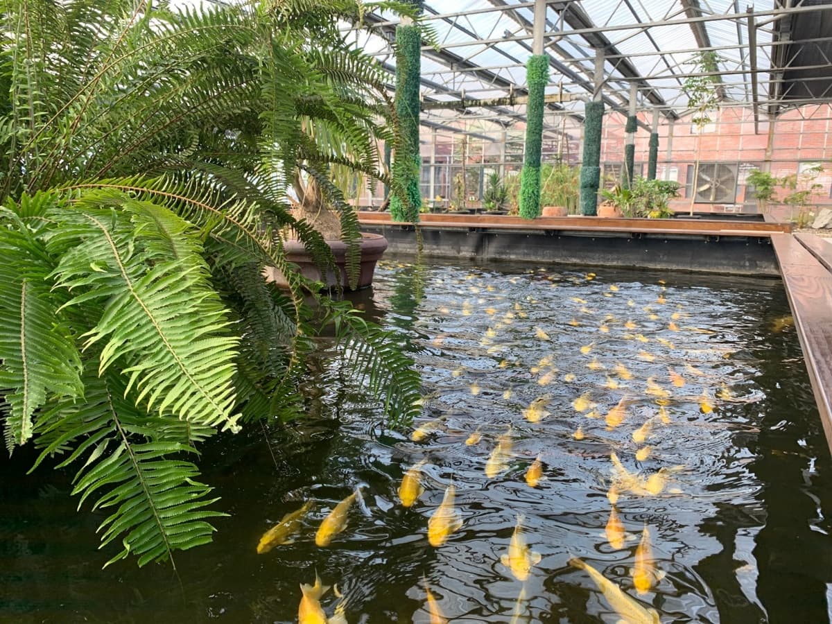 1400元起住美人湯飯店!2大「住就送門票」優惠,逛最大蘭花園、吃安平美食 1400元起住美人湯飯店!2大「住就送門票」優惠,逛最大蘭花園、吃安平美食