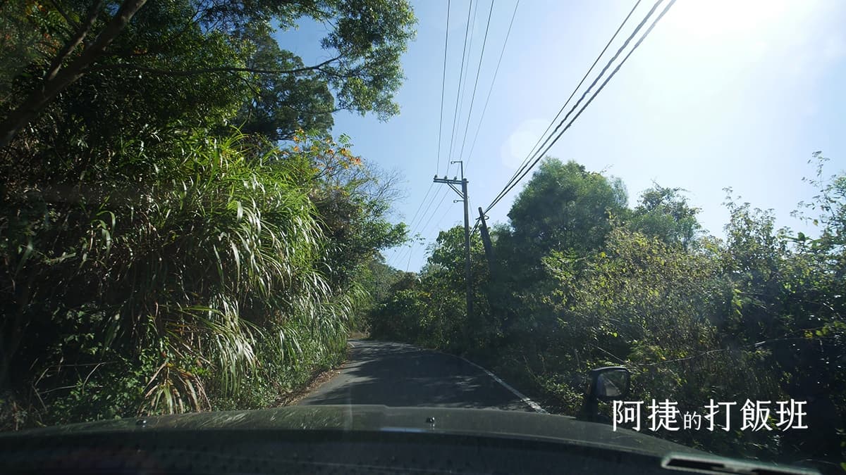梅花季來了!高雄最大賞梅勝地花開6成,官方估盛開時間「在此時」 梅花季來了!高雄最大賞梅勝地花開6成,官方估盛開時間「在此時」