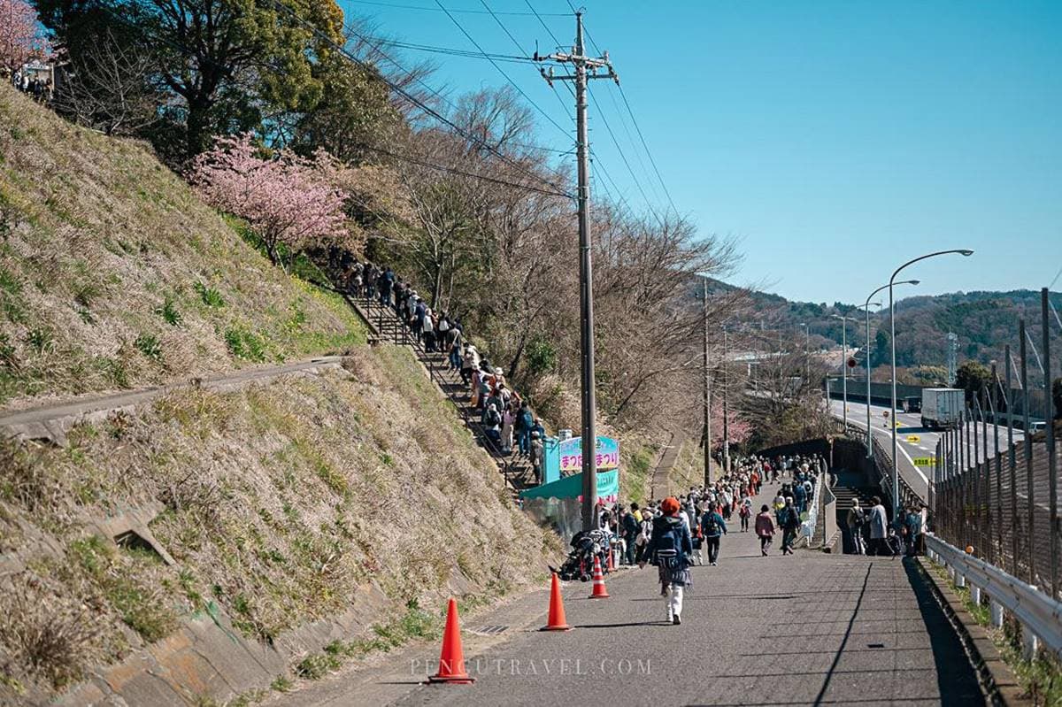 夢幻爆棚!東京近郊玩「櫻花溜滑梯」,再拍「春櫻同框富士山」明信片美景 夢幻爆棚!東京近郊玩「櫻花溜滑梯」,再拍「春櫻同框富士山」明信片美景