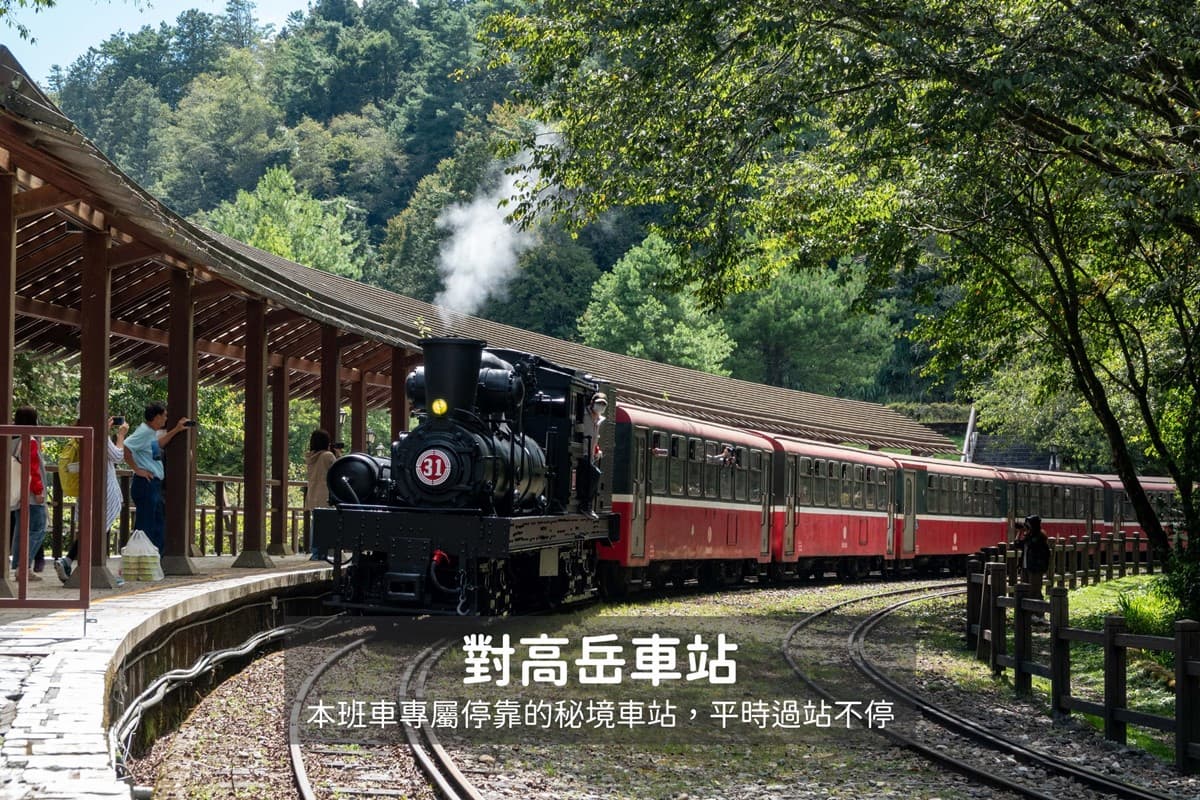 阿里山最夢幻賞櫻行程!花季限定「百年蒸氣列車」 搶票時間、遊程內容一次看 阿里山最夢幻賞櫻行程!花季限定「百年蒸氣列車」 搶票時間、遊程內容一次看