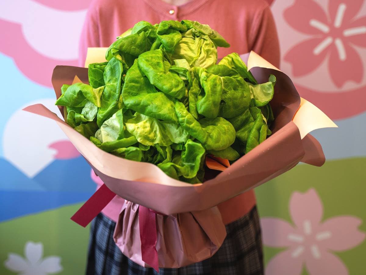 摩斯紅茶只要24元!5大隱藏優惠手刀搶:免費送烤雞起司堡、雞塊買3送1 摩斯紅茶只要24元!5大隱藏優惠手刀搶:免費送烤雞起司堡、雞塊買3送1