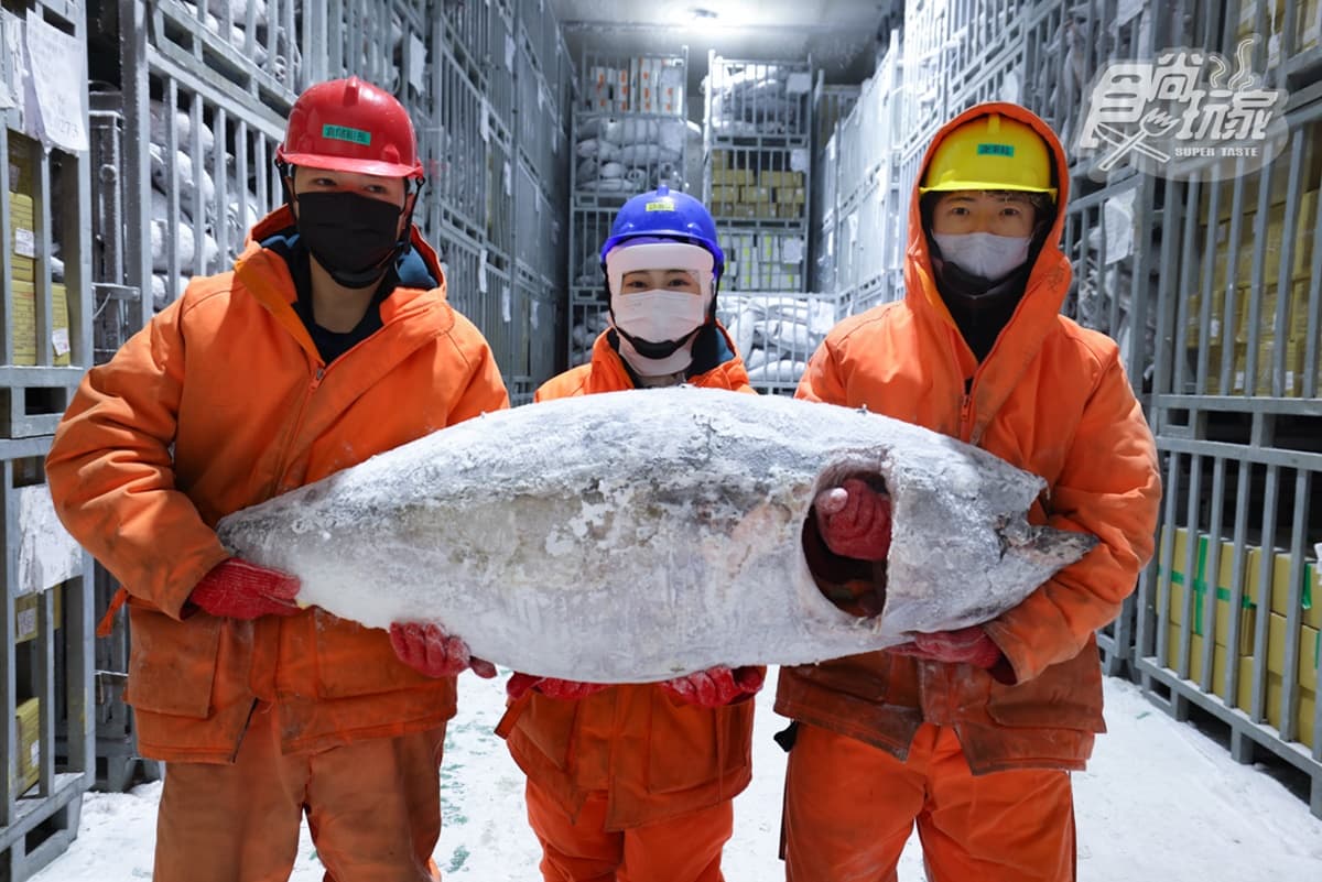 -50℃保鮮有如活魚!鮪魚王者「魚有王」開團:黑鮪生魚片、DIY鮪魚丼飯 -50℃保鮮有如活魚!鮪魚王者「魚有王」開團:黑鮪生魚片、DIY鮪魚丼飯