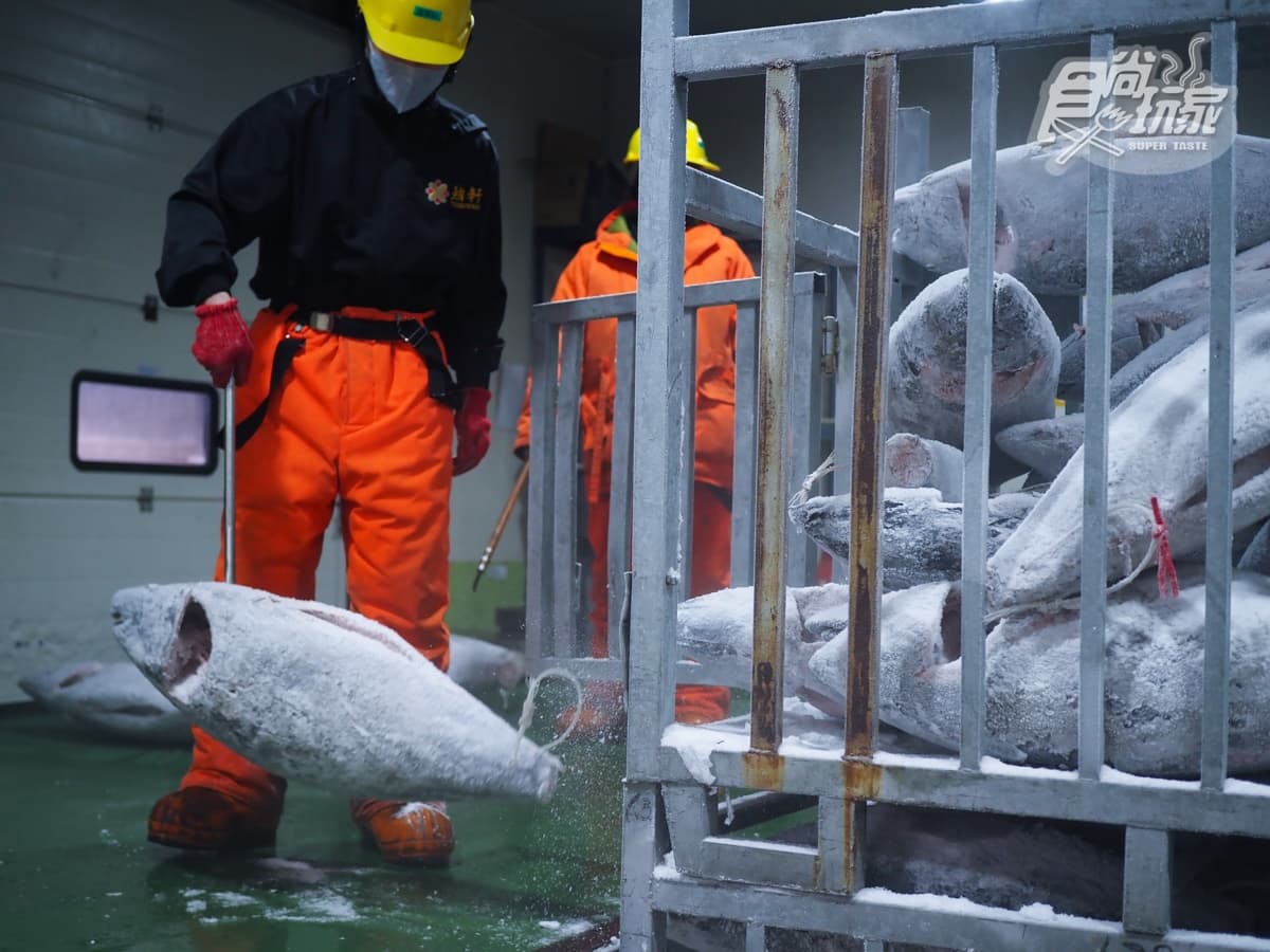 -50℃保鮮有如活魚!鮪魚王者「魚有王」開團:黑鮪生魚片、DIY鮪魚丼飯 -50℃保鮮有如活魚!鮪魚王者「魚有王」開團:黑鮪生魚片、DIY鮪魚丼飯