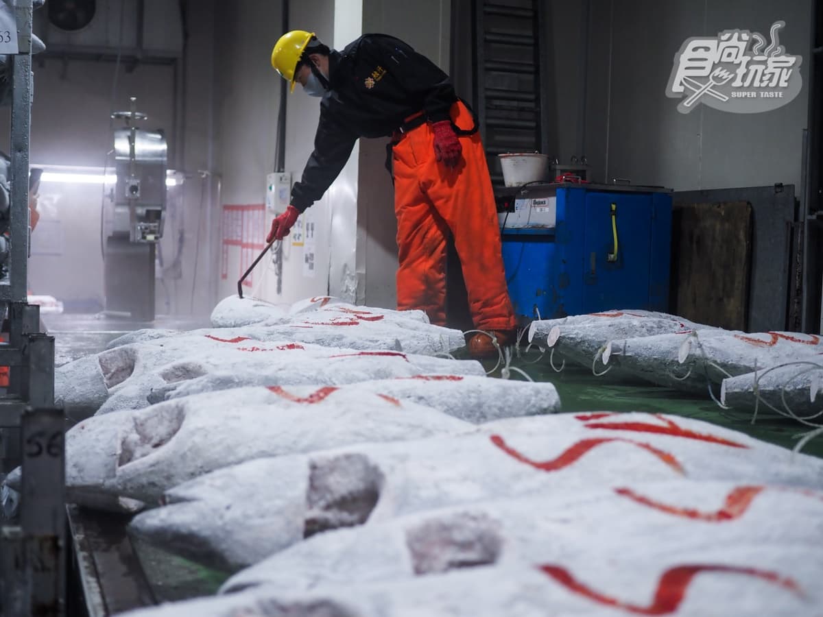 -50℃保鮮有如活魚!鮪魚王者「魚有王」開團:黑鮪生魚片、DIY鮪魚丼飯 -50℃保鮮有如活魚!鮪魚王者「魚有王」開團:黑鮪生魚片、DIY鮪魚丼飯
