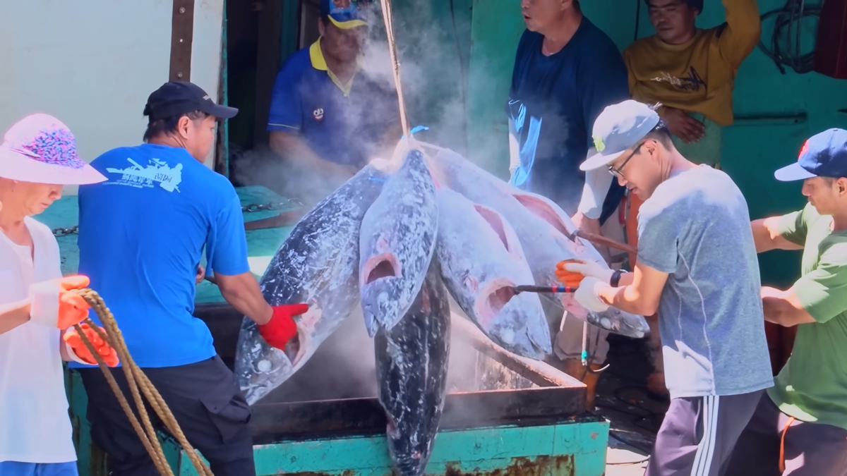 -50℃保鮮有如活魚!鮪魚王者「魚有王」開團:黑鮪生魚片、DIY鮪魚丼飯 -50℃保鮮有如活魚!鮪魚王者「魚有王」開團:黑鮪生魚片、DIY鮪魚丼飯