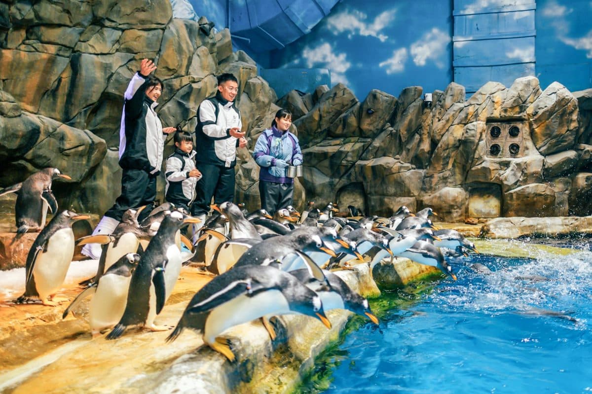 近距離看熊貓!「香港海洋公園」熊貓慶生派對萌翻天,還有超夢幻三麗鷗世界 近距離看熊貓!「香港海洋公園」熊貓慶生派對萌翻天,還有超夢幻三麗鷗世界