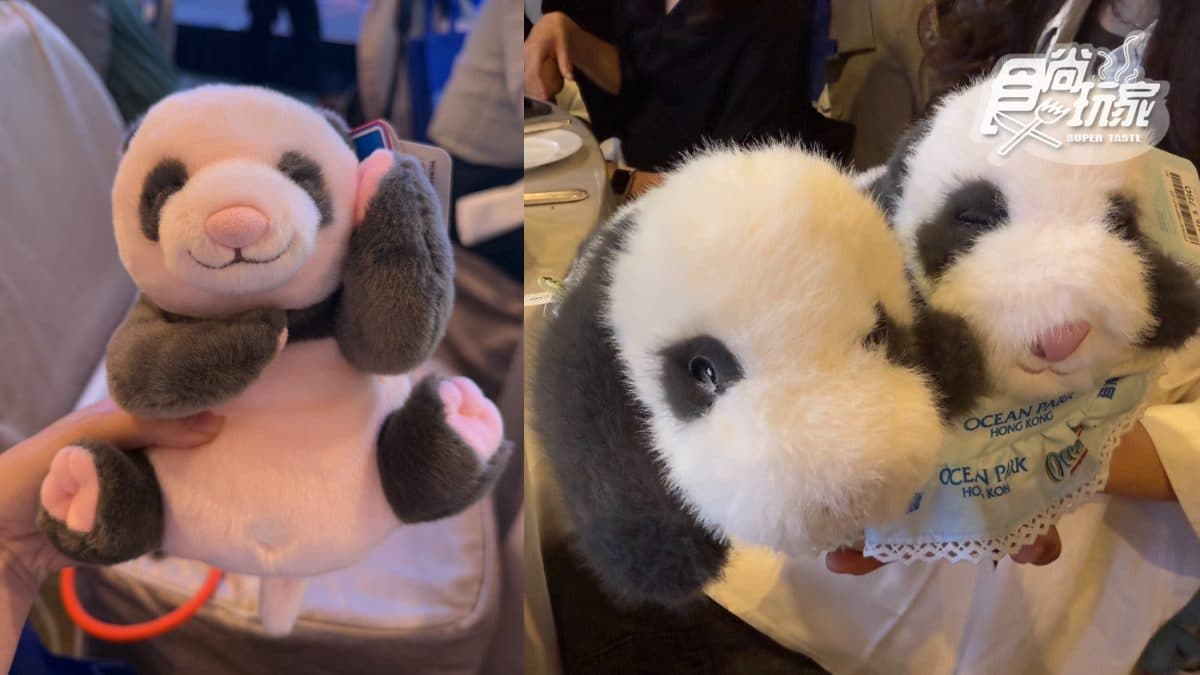 近距離看熊貓!「香港海洋公園」熊貓慶生派對萌翻天,還有超夢幻三麗鷗世界 近距離看熊貓!「香港海洋公園」熊貓慶生派對萌翻天,還有超夢幻三麗鷗世界
