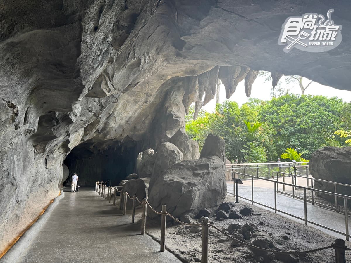 亞洲首座「雨林野生探險園」開幕!5大亮點攻略搶看:36種珍稀動物、洞穴探險 亞洲首座「雨林野生探險園」開幕!5大亮點攻略搶看:36種珍稀動物、洞穴探險