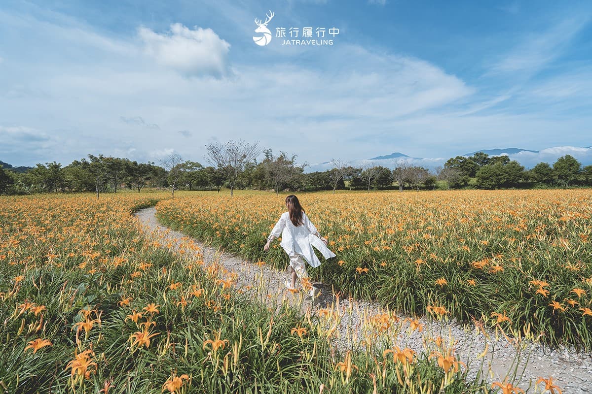 最美黃金花毯這裡拍!「2026花蓮金針花季」8月登場,即時花況、賞花景點推薦 80公頃「黃金花海」免費拍!2025花蓮金針花季開跑,花況、即時影像一次看