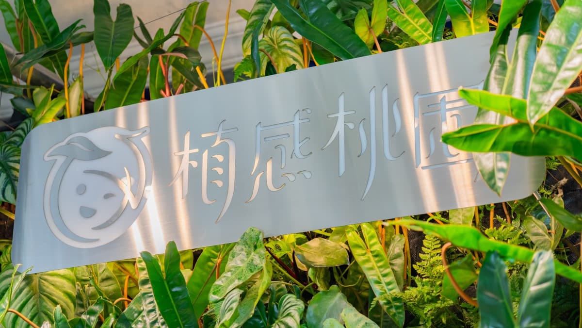 「大溪豆干節」結合植感生活!打造植感桃園品牌意象,拓展蔬食理念跨足植感生活領域 「大溪豆干節」結合植感生活!打造植感桃園品牌意象,拓展蔬食理念跨足植感生活領域