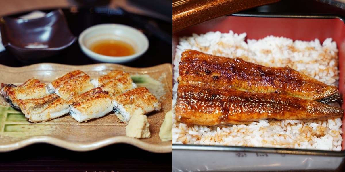 日本米其林百年手藝!免出國就能吃,台北8間「純正日本血統」鰻魚飯地圖 白燒 vs 蒲燒鰻魚差異