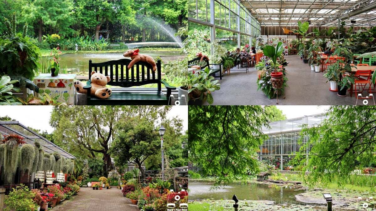 彰化田尾不只花!5間仙氣庭園餐廳+5款人氣小吃,花園控美食咖必收 田尾美食景觀餐廳:菁芳園