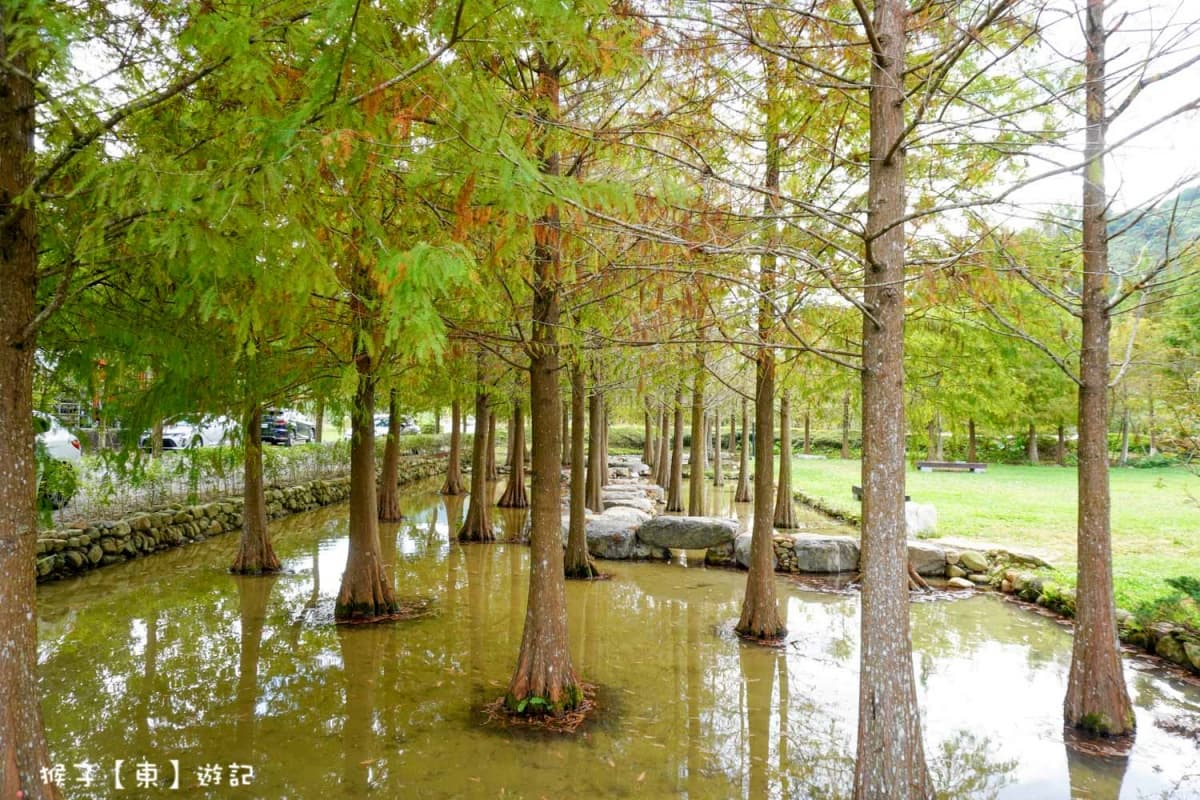 180度湖景下午茶!日月潭秘境咖啡8間:昭和池畔小屋、玻璃屋草地披薩 180度湖景下午茶!日月潭秘境咖啡8間:昭和池畔小屋、玻璃屋草地披薩