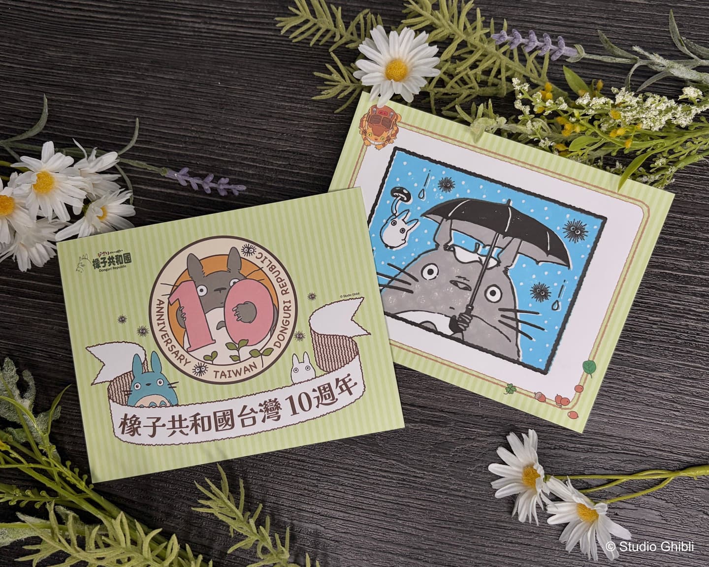 吉卜力「橡子共和國」登台10週年!3款龍貓徽章滿額送,新品、集章活動連發 吉卜力「橡子共和國」登台10週年!3款龍貓徽章滿額送,新品、集章活動連發