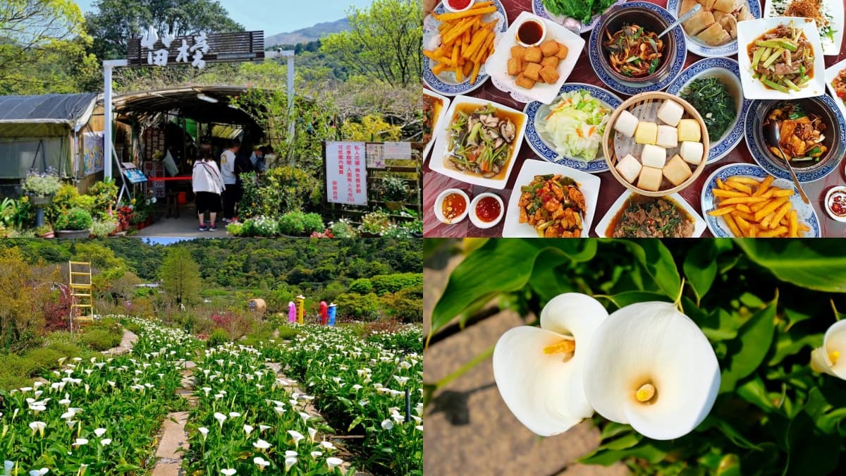 花海山林秘境吃合菜!陽明山必吃鮮嫩放山雞、新鮮山產,帶你解鎖3大鎮山名店 陽明山美食:苗榜