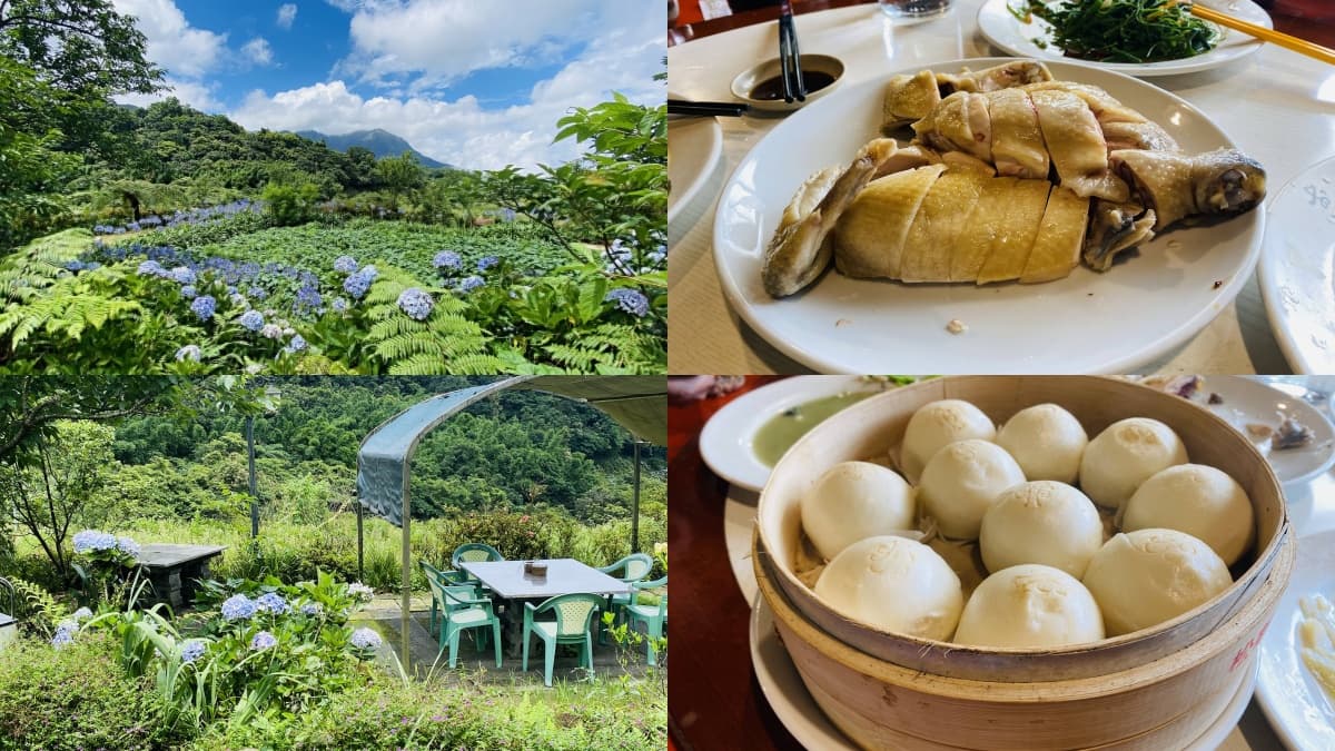 花海山林秘境吃合菜!陽明山必吃鮮嫩放山雞、新鮮山產,帶你解鎖3大鎮山名店 陽明山美食:華之友自然景觀農園
